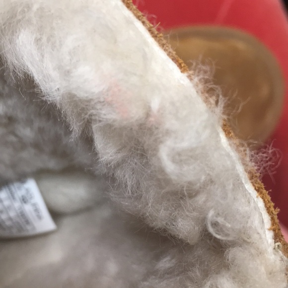 Koolaburra by Ugg Boots - Picture 14 of 15